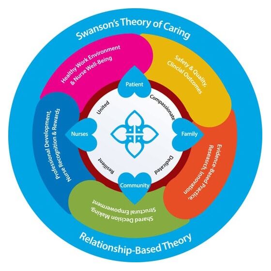photo of nursing practice model graph